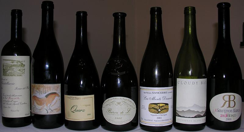 Sauvignon.jpg